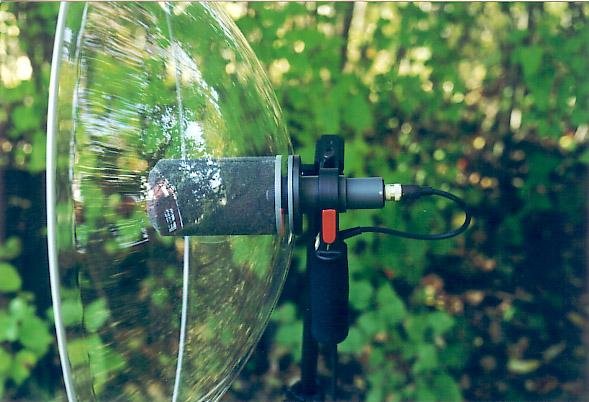 Telinga parabolic microphone